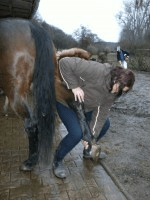 Cheval jambe