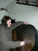 Cheval