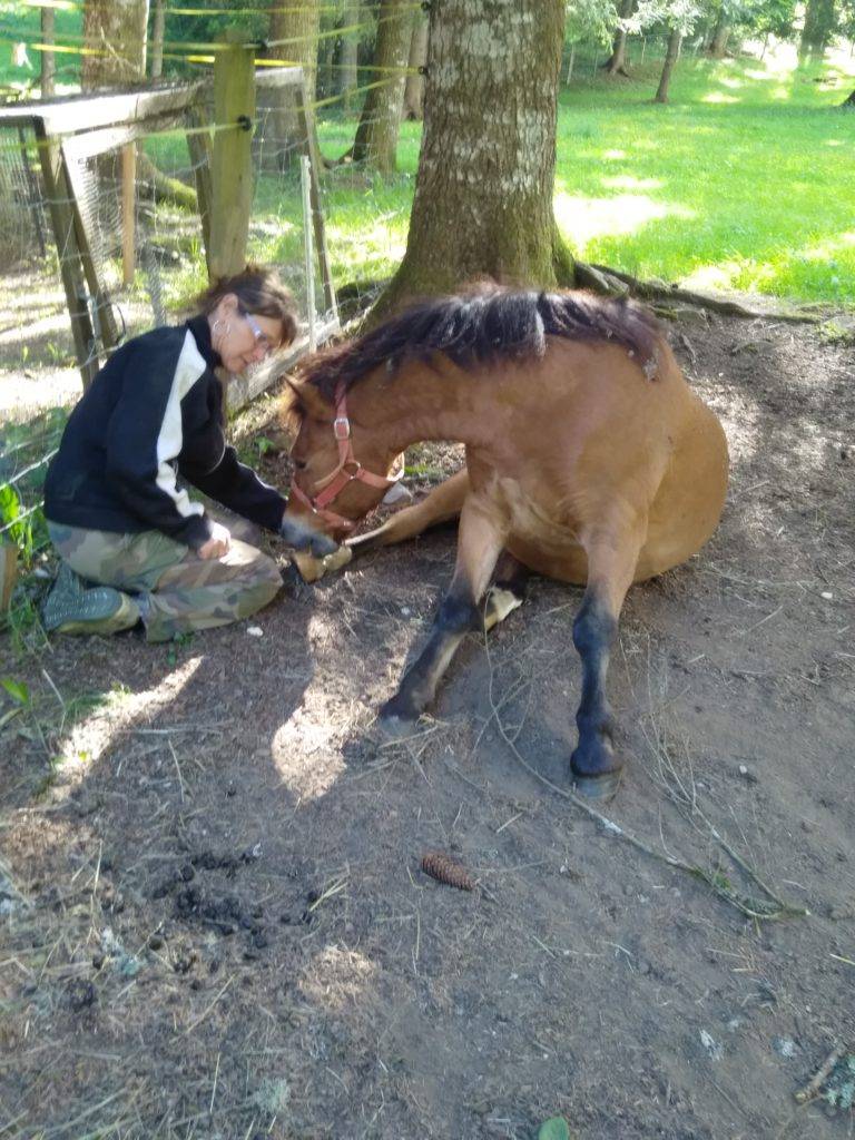 Cheval