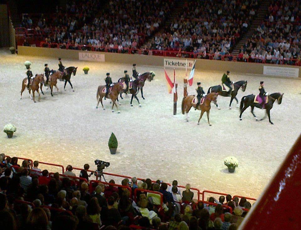 Equitation